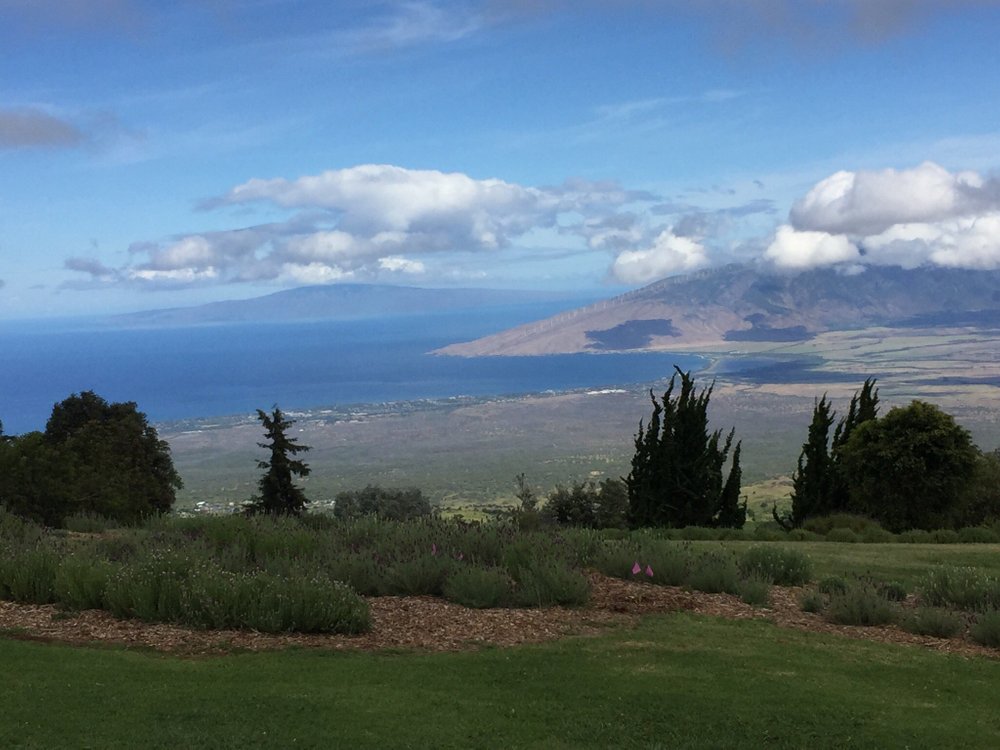 THE 10 BEST Places to Go Shopping in Maui (Updated 2024)