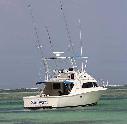 THE 10 BEST Diani Beach Fishing Charters & Tours (Updated 2024)
