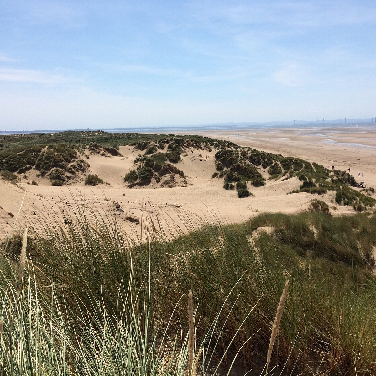 can you take dogs on formby beach