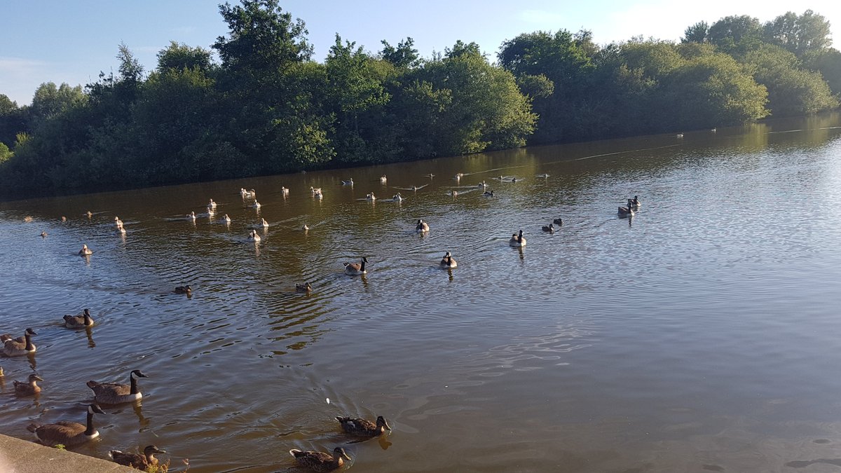 North Blackpool Pond Trail (Bispham): All You Need to Know