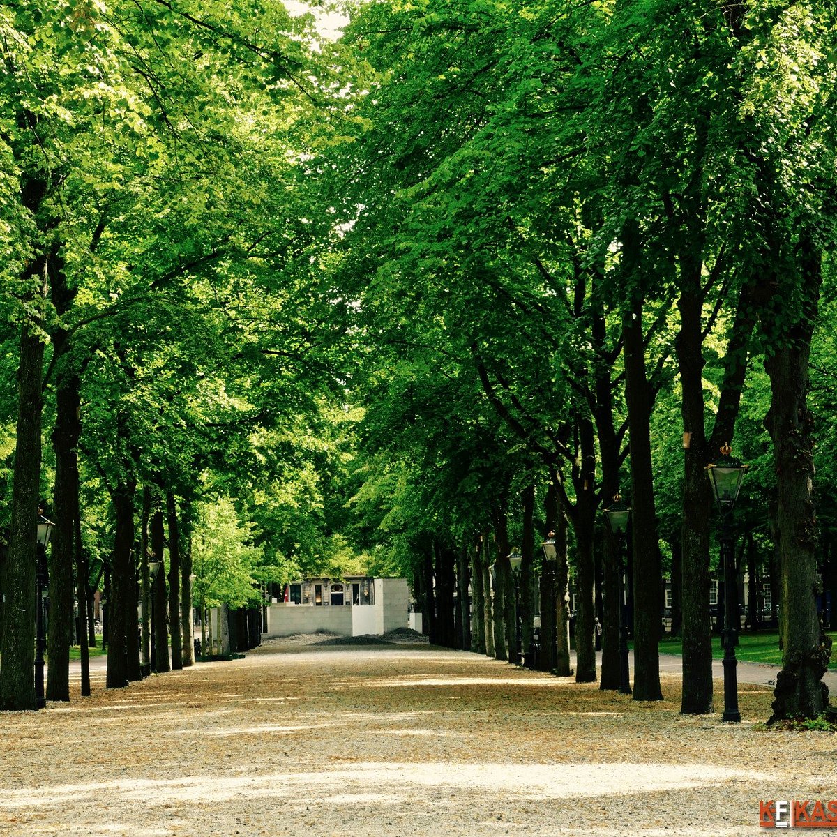 Lange Voorhout, Гаага: просмотрите отзывы (288 шт.), статьи и 197 фотографи...