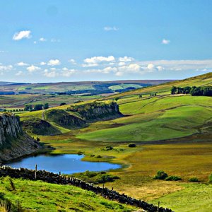 Falconry Days Northumberland Bird of Prey Experience Days