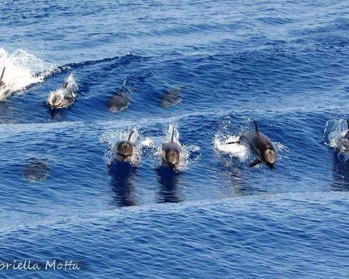 Italian Open Water Tour a Genova