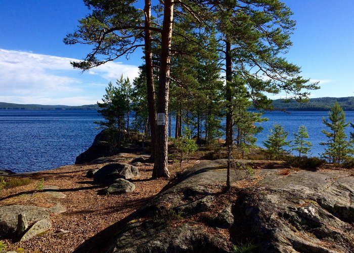 Arvika, Sweden 2023: Best Places to Visit - Tripadvisor