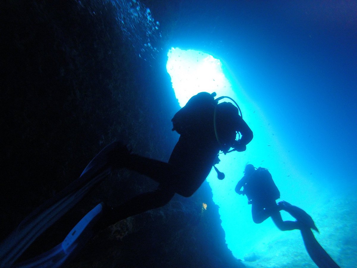 Cycladic Diving (Aliki) - All You Need to Know BEFORE You Go