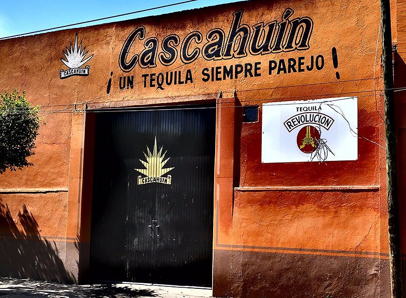 Tequila Cascahuin image