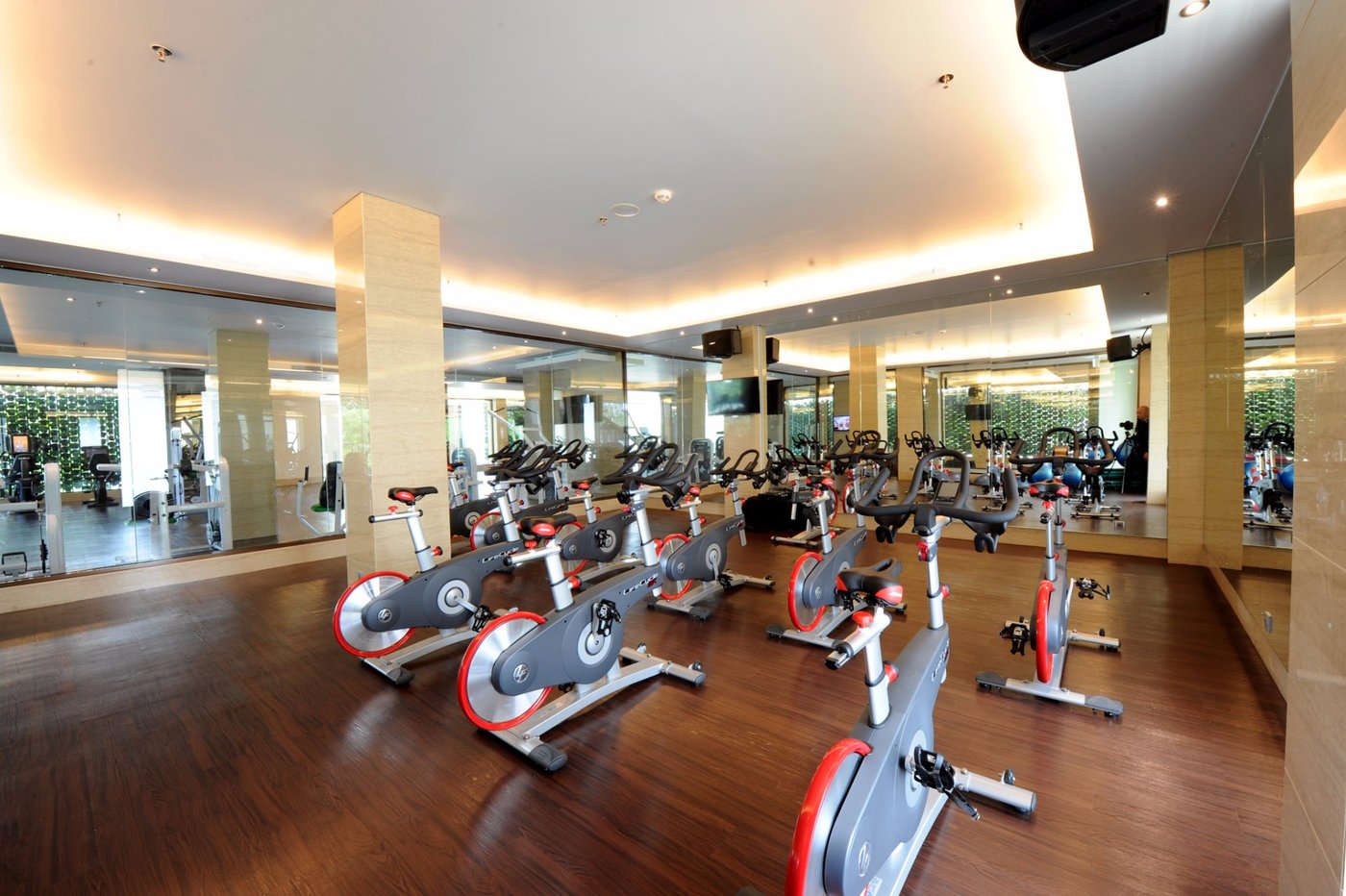Hotel Borobudur Jakarta Gym: Pictures & Reviews - Tripadvisor