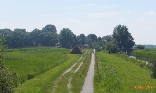 View from a bird hide