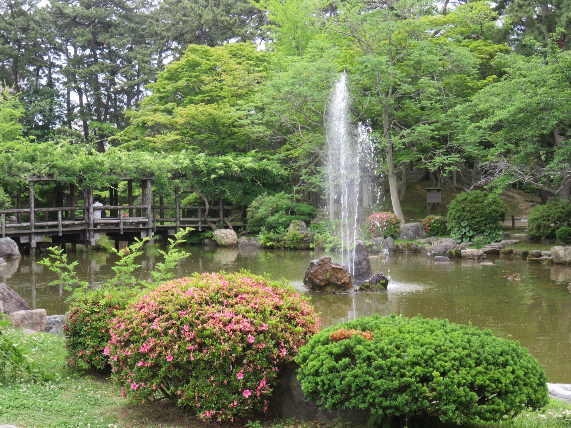 2025年 白山公園 - 出発前に知っておくべきことすべて 2025年 白山公園 - 出発前に知っておくべきことすべて