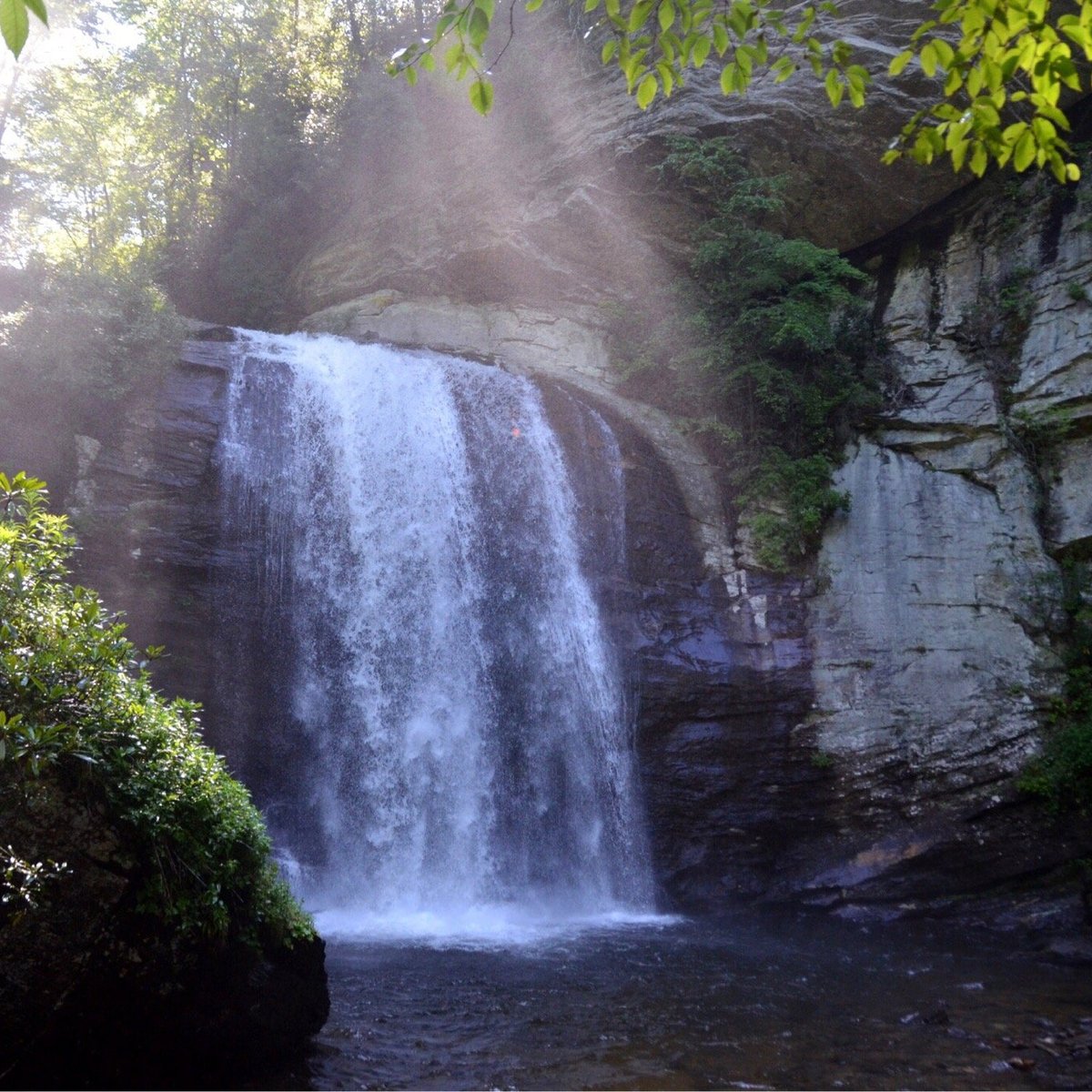 Pisgah Visitor Center (pisgah Forest) - All You Need To Know Before You Go