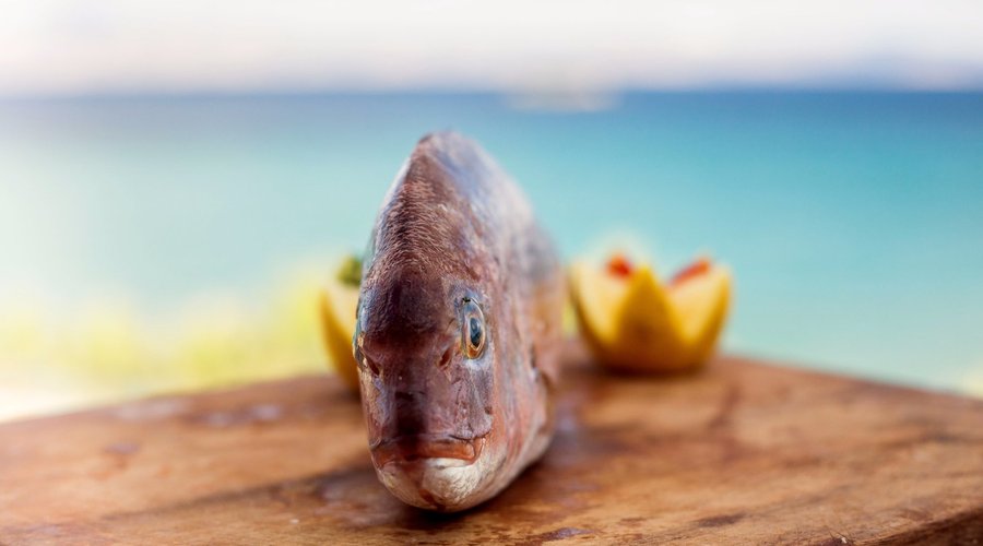 serving always the freshest fish !!!!