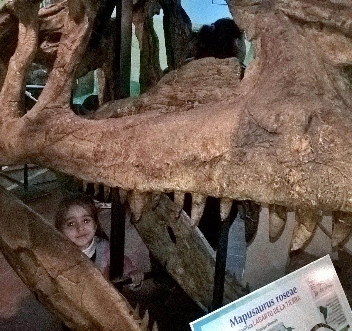 Museo de Ciencias (Bahia Blanca) 2022 Lohnt es sich? (Mit fotos)