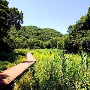 21年 神奈川県で絶対外さないおすすめ観光スポットトップ10 定番から穴場まで トリップアドバイザー