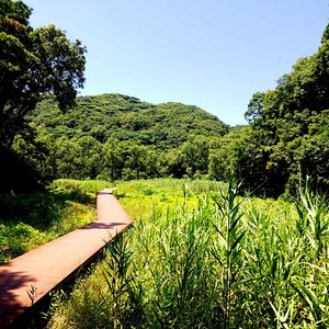 21年 神奈川県で絶対外さないおすすめ観光スポットトップ10 定番から穴場まで トリップアドバイザー 21年 神奈川県で絶対外さないおすすめ観光スポットトップ10 定番から穴場まで トリップアドバイザー