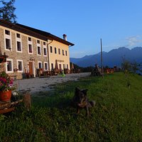 veduta dell'azienda con panorama dolomiti bellunesi