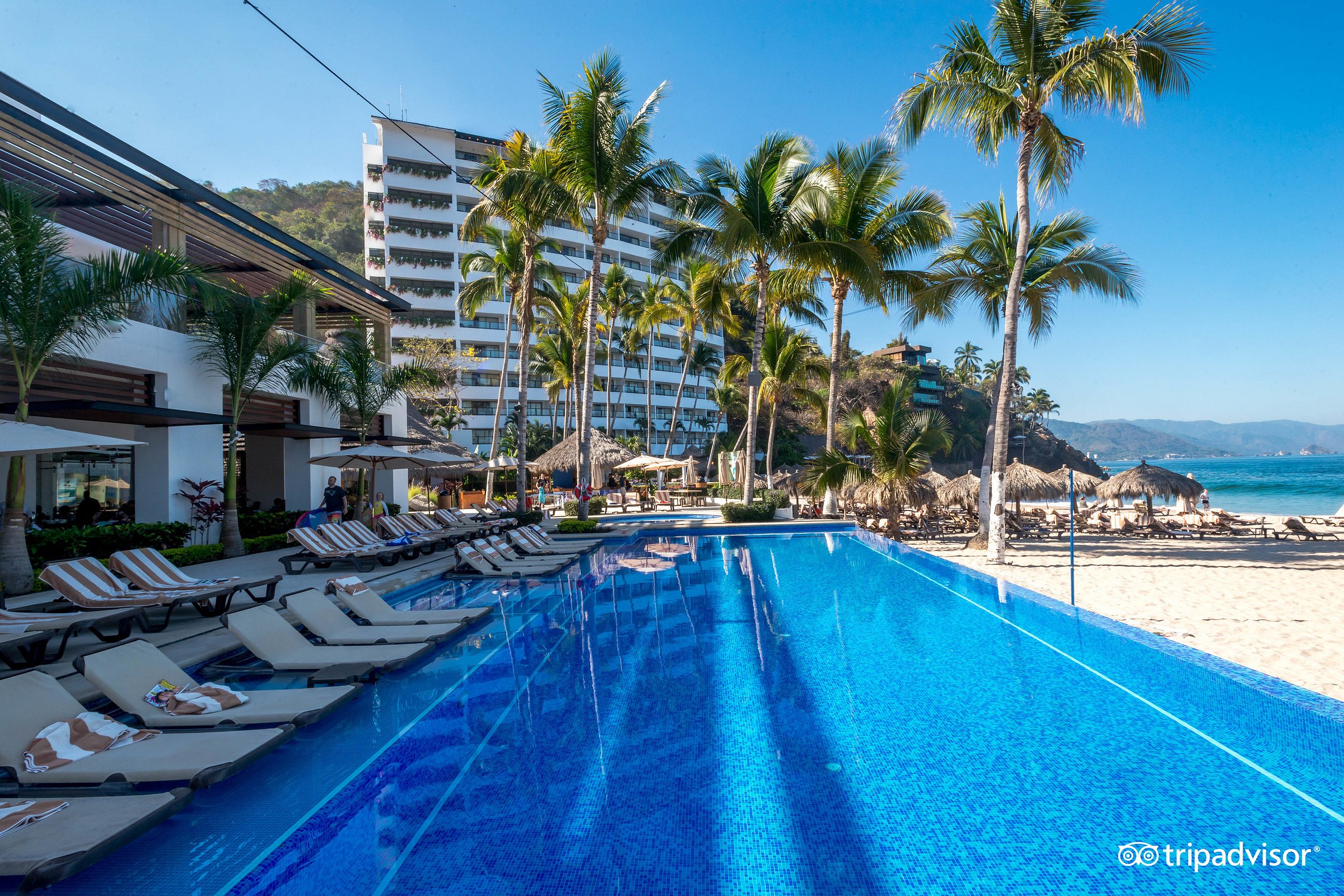 Hyatt Ziva Puerto Vallarta Desde 6516 Jalisco Opiniones Y Comentarios Resort Todo