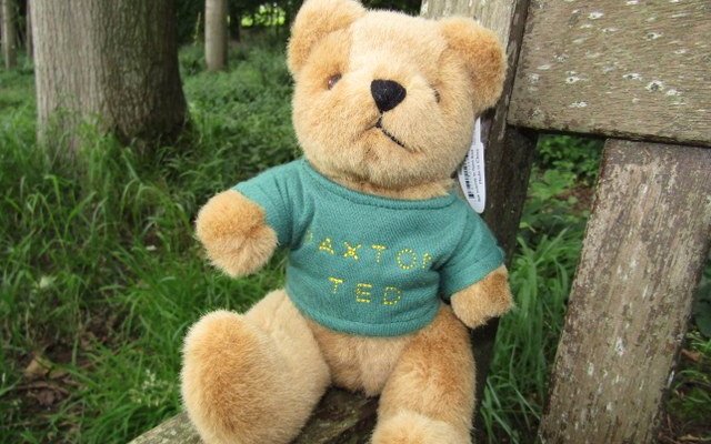 Paxton Ted for my granddaughter Paxton