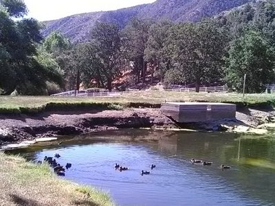 Pine Mountain Club, CA 2023: Best Places to Visit - Tripadvisor