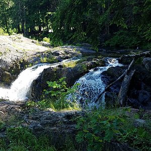 se permiten perros en sugarloaf marquette mi