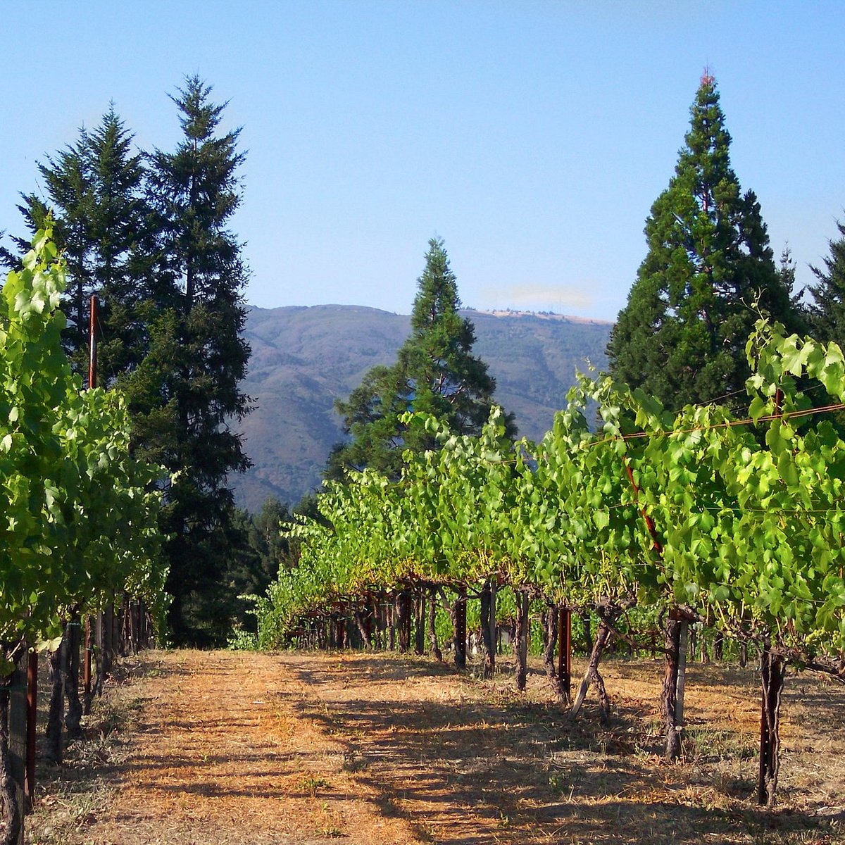 winery tours near san jose ca