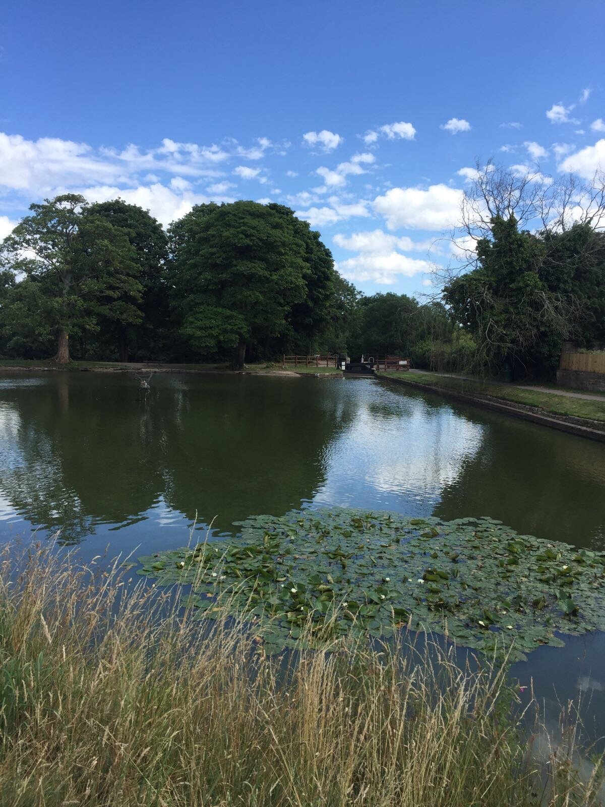 Fourteen Locks Canal & Conference Centre (Rogerstone) - All You Need to ...