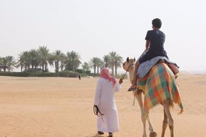 المسافر
