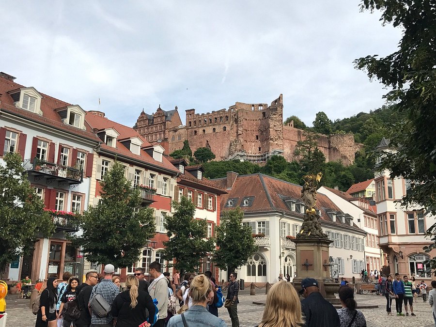 Heidelberg brothels in Pussy Galore