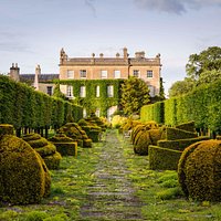 The Thyme Walk