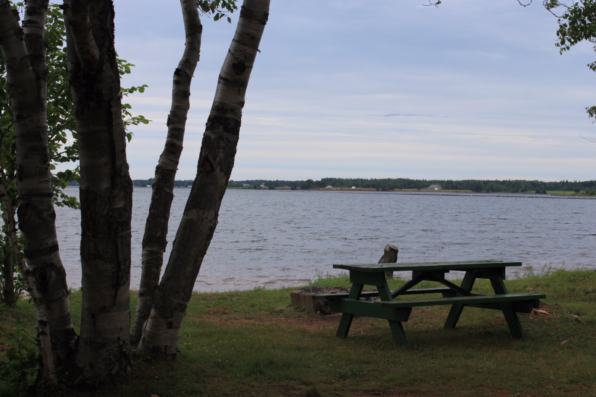Green Park Campground by null