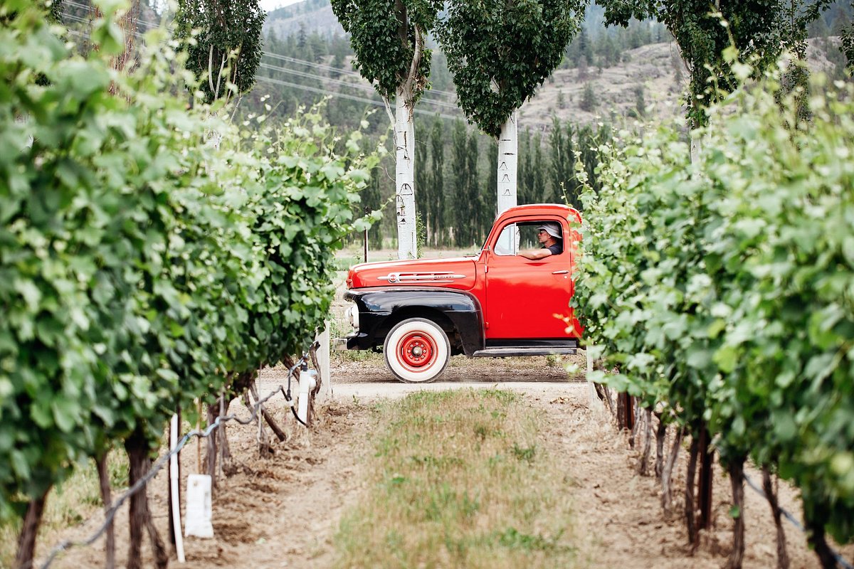 Sparkling Zinfandel - Certified Organic - Covert Farms Family