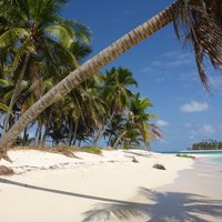 Isla Pelicano (San Blas Islands) - All You Need to Know BEFORE You Go