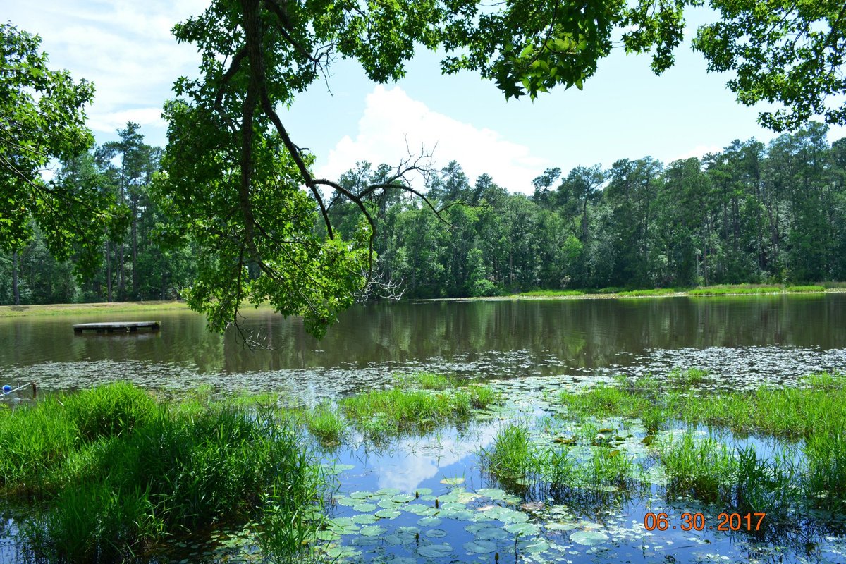 BARNWELL STATE PARK (Blackville) - All You Need to Know BEFORE You Go