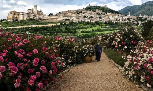 #Assisi