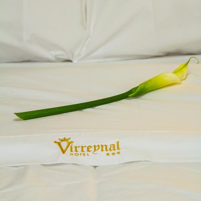 Imagen 23 de Virreynal Hotel