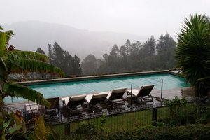 Pool & Beach
