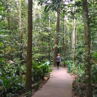 Kepong Botanical Garden - All You Need to Know BEFORE You Go (2024)