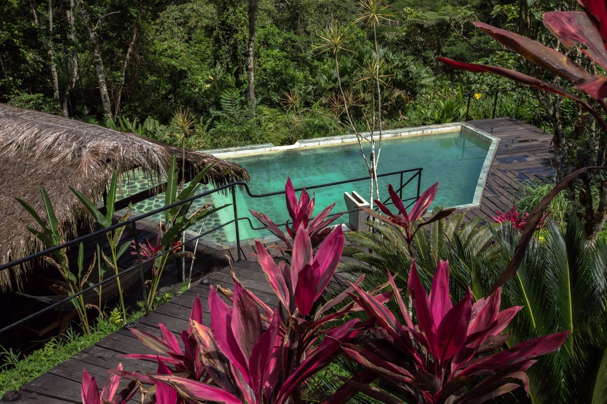 Hamadryade Lodge Pool: Pictures & Reviews - Tripadvisor