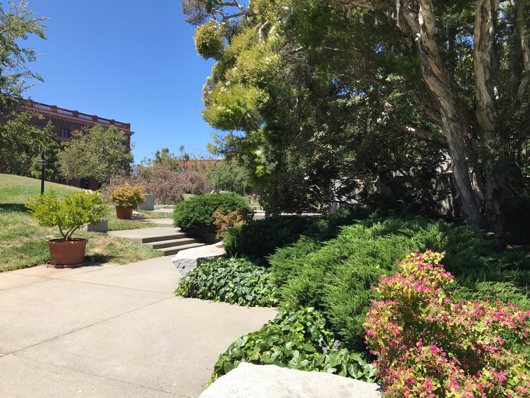 LEVI S PLAZA PARK All You Need to Know BEFORE You Go with Photos