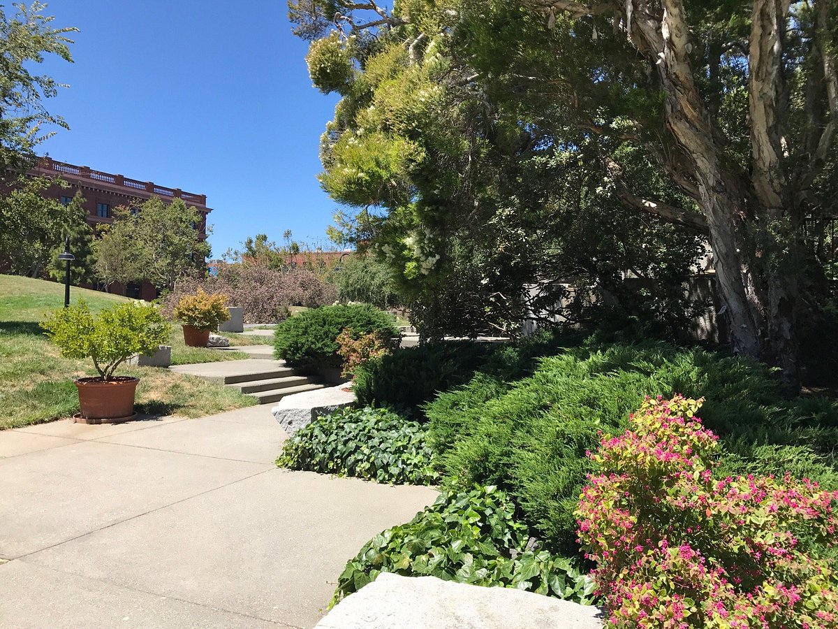 Levi's Plaza Park (San Francisco) - All You Need to Know BEFORE You Go