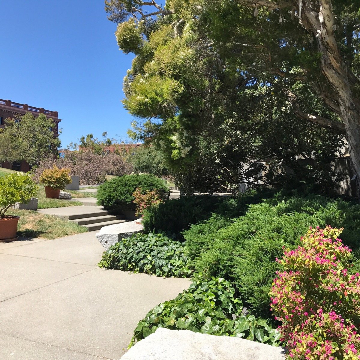 Levi's Plaza Park (San Francisco) - All You Need to Know BEFORE You Go