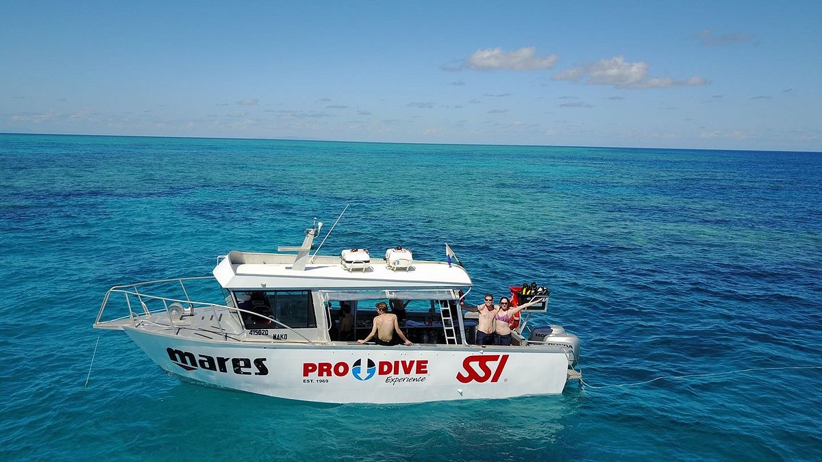 Pro Dive Magnetic (Nelly Bay): All You Need to Know