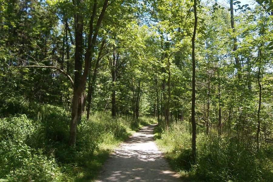 West Bloomfield Nature Reserve image