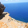Things To Do in Ustica's Divers, Restaurants in Ustica's Divers