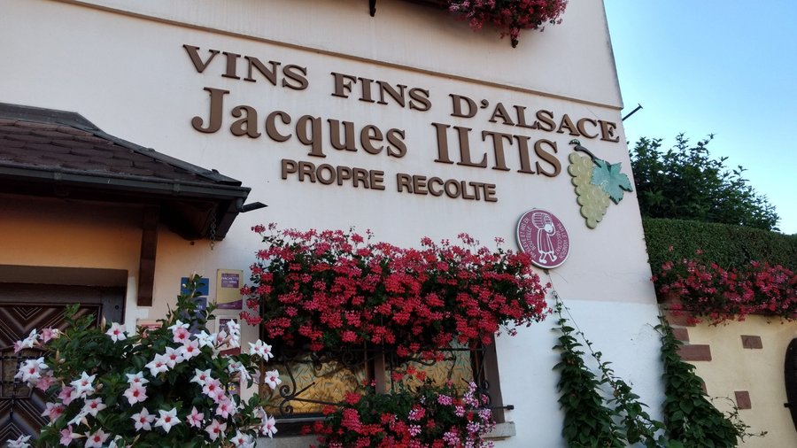 Das Weingut J. ILTIS