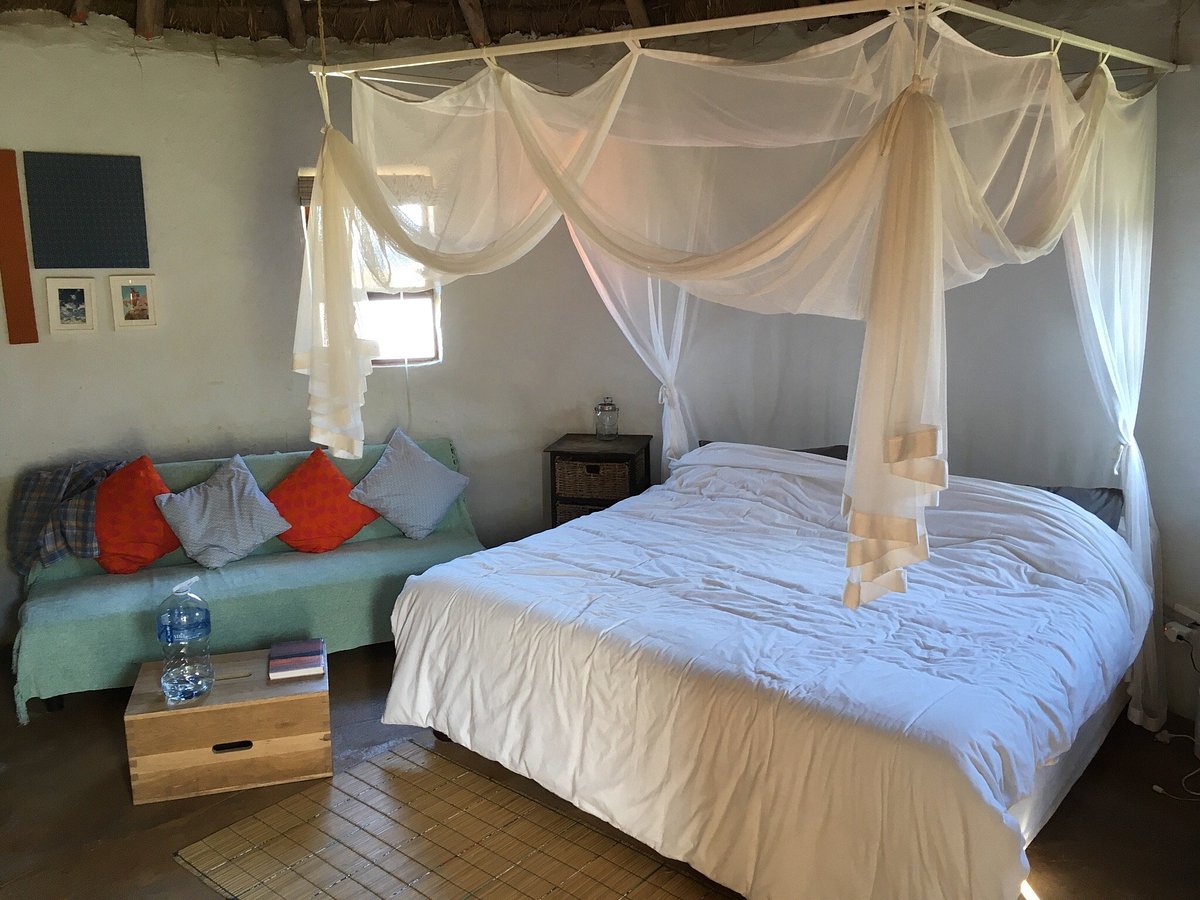 Swell Eco Lodge, hotel in Port St Johns