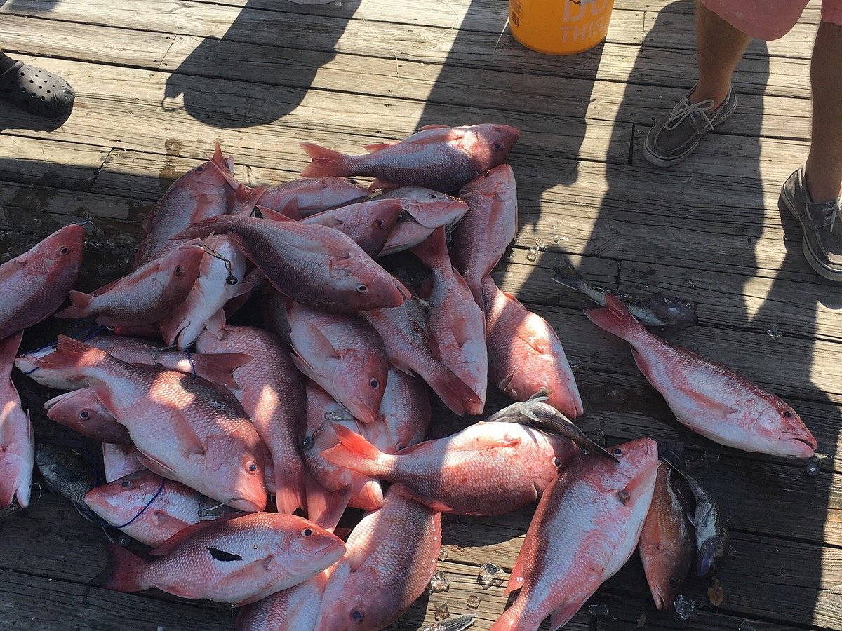 American Spirit Party Boat - Y'all ever tried Red Snapper Throats