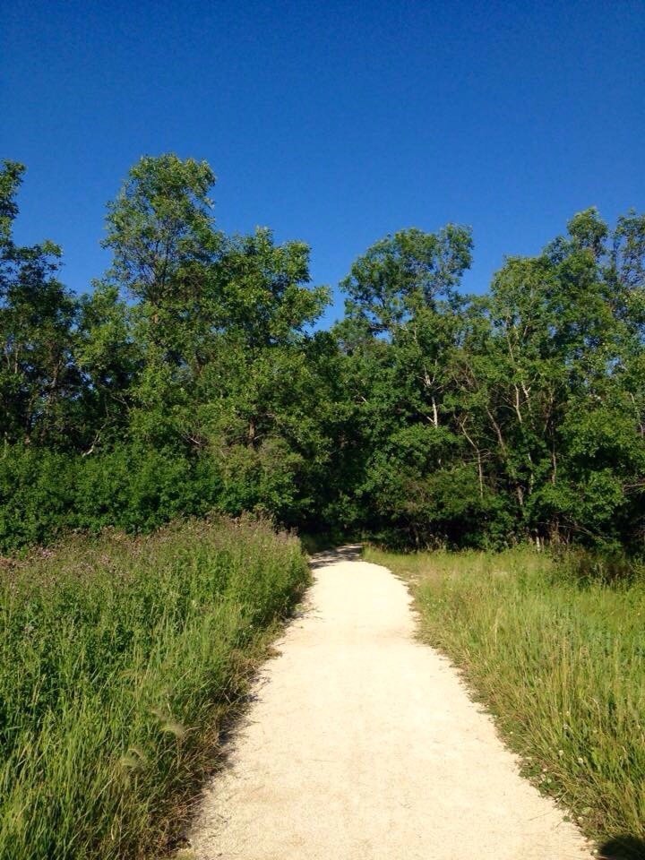 Terry Fox Fitness Trail (Winnipeg) - All You Need to Know BEFORE You Go