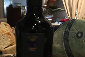 Viaggiatori