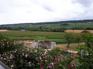 Vista dalla camera