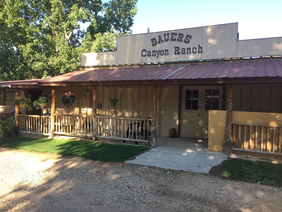 The Canyon Motel Rv Park Reviews Updated 2020
